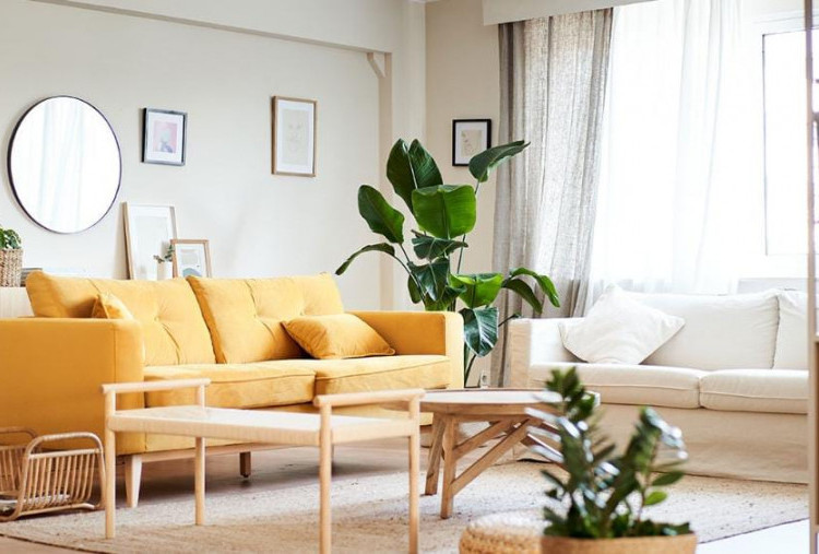 Begini Tips Menata Rumah Mungil agar Terlihat Lapang dan Instagramable, Tanpa Bikin Kantong Jebol