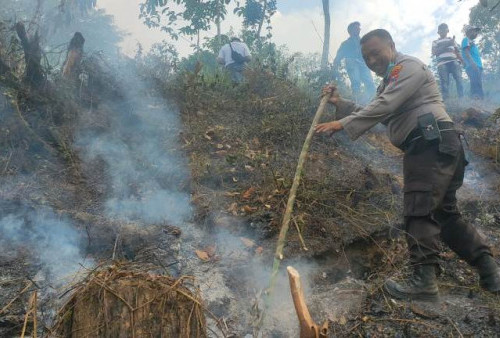 Warga Bakar Sampah, Perkebunan Gunung Terong Terbakar