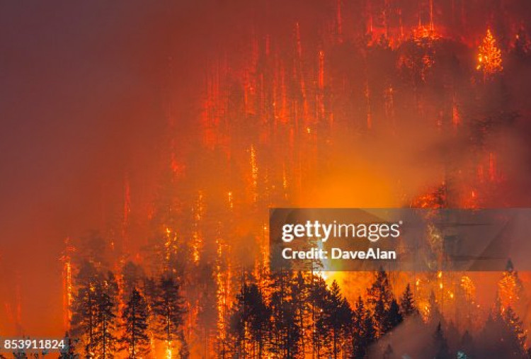 Karhutla di Oregon, Amerika Serikat Belum Padam, Cuaca Ekstrem Hambat Pemadaman
