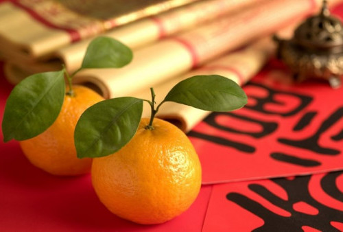 Ini Makna Jeruk Mandarin Dalam Perayaan Hari Imlek