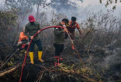 Waspada! Kekeringan Terus Berlanjut, Kebakaran Lahan Kering dan Hutan Masih Akan Terus Berlangsung