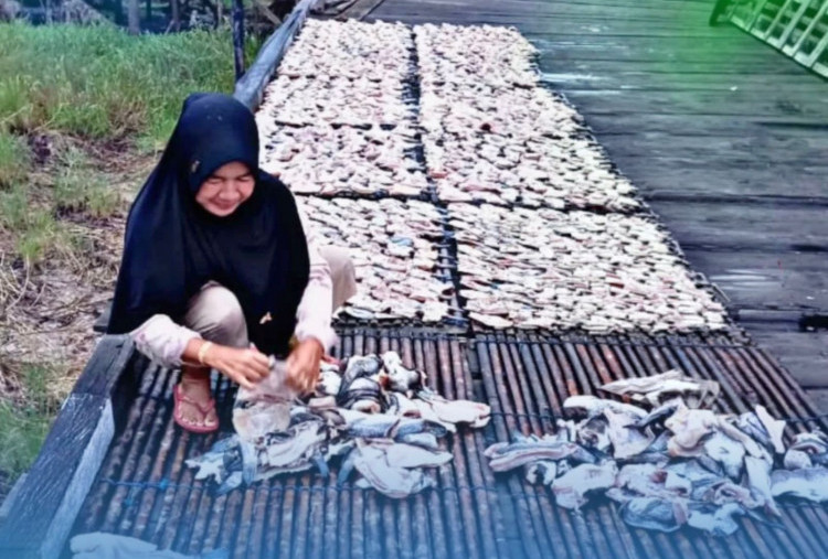 Pendampingan PNM Dirasakan Langsung oleh Perempuan Pesisir Kaltim