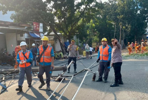 Tiang Listrik dan Pohon Petai Tumbang Hingga Tutupi Jalan di Pos Pengumben, Polisi dan PLN Lakukan Evakuasi