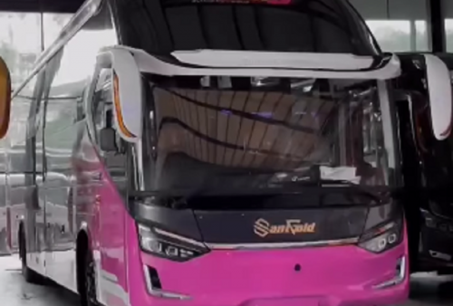 Gokil! PO Sant Gold Luncurkan 2 Unit Bus Baru, Dilengkapi Balutan Bodi Warisan SR3 Suites Combi