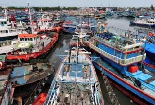 Nelayan Pantura Akan Demo ke Istana, Bawa Banyak Tuntutan, Termasuk Soal BBM Naik, Harga Ikan Malah Turun
