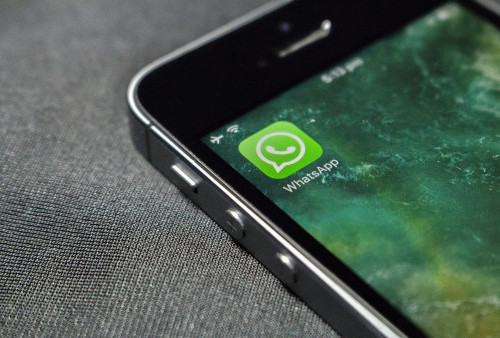 Cara Menghilangkan Status Online di WhatsApp, Coba Langkah Mudahnya Berikut Ini, Yuk!