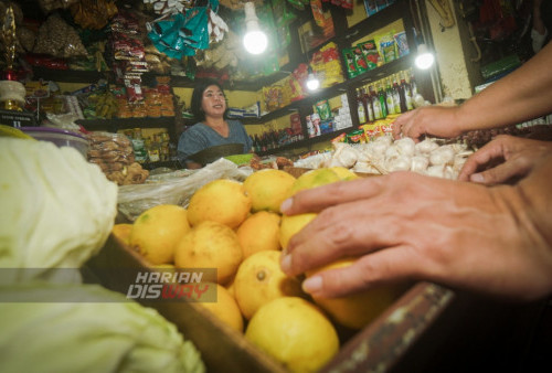 Sementara untuk bawang putih dan bawang merah harganya masih naik, tergantung bagaimana juga jalannya impor dan cuaca. Setelah mengetahui ini, KPPU segera mensinergikan dan membantu pedagang dalam mengantisipasi lonjakan harga.