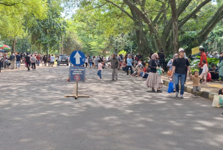 Pengunjung Ragunan Capai 100 Ribu Orang di Libur Tahun Baru