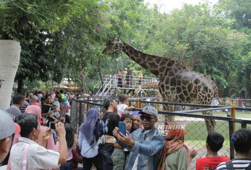 Libur Lebaran 2024, Parkir Liar di Kebun Binatang Surabaya Bakal Dikenai Sanksi Tegas Tipiring