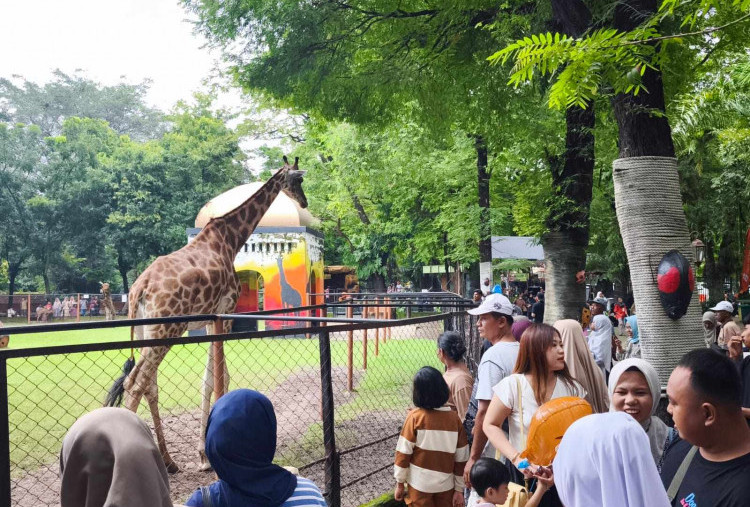 Experiential Tourism dan Membership Edukasi sebagai Konsep Pengelolaan KBS
