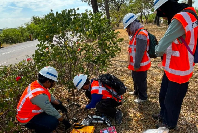  Gandeng BRIN, Terminal Teluk Lamong Perkuat Komitmen ESG Lewat Riset Ekologis Pesisir