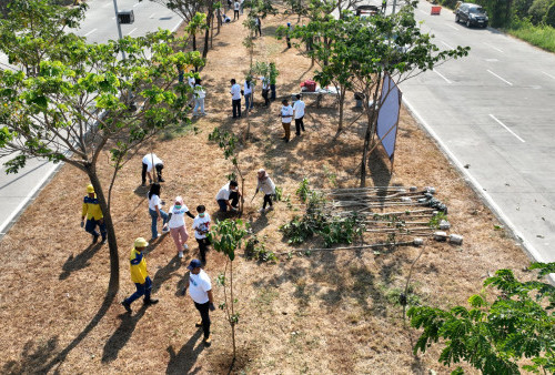 Tanam 200 Pohon, Terminal Teluk Lamong Bantu Serap 25 Ton Emisi Karbon