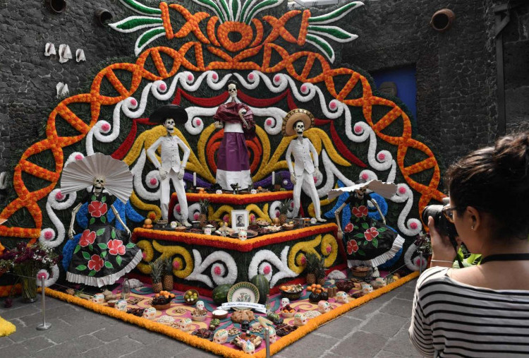 Lebih Dekat dengan Keunikan Budaya Meksiko: Frida Kahlo, Tequila, dan Pasar Loak