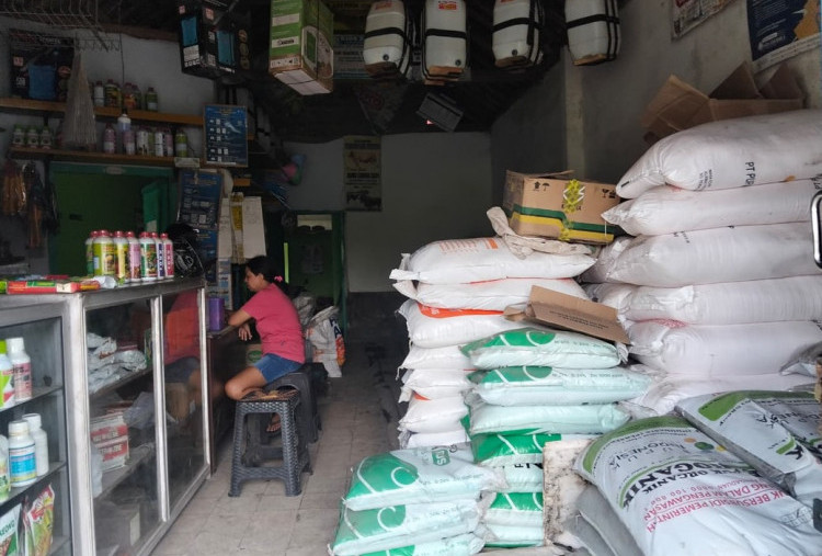 Penebusan Tinggi, Stok Pupuk Subsidi di Lumajang Dipastikan Aman