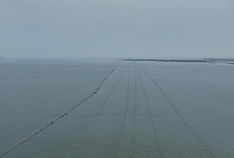 Misteri Pagar Laut Terbentang 30 Km di Pesisir Utara Tangerang, KKP Ngaku Gak Tahu? 