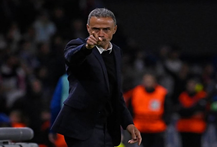 PSG Lirik Pemain Muda Chelsea Seharga Rp 1,1 Triliun, Luis Enrique: Dia Pemain Ideal