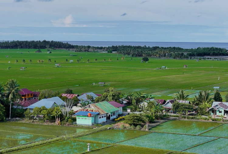 Pesona Pesisir Sausu Tambu: Dari Harmoni Budaya Menuju Prestasi Desa Wisata Nasional
