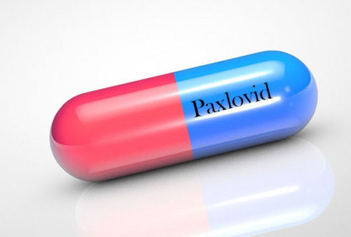 Obat Penangkal Covid-19 Akhirnya Ditemukan, Diberi Nama Paxlovid, Berikut Uji Klinis dan Penjelasan Ahli 