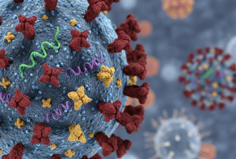 FAKTA! 62 Orang di Indonesia Tertular Super Flu Subclade K, Gejalanya Sakit Tenggorokan