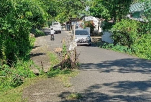 Jalan Berlobang Ditanami Ranting Pohon di Kota Lahat