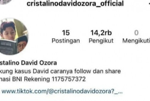 Beredar Akun Instagram Bernama David Ozora Minta Donasi, Kuasa Hukum : Tidak Benar, Akun Penipu Itu!  