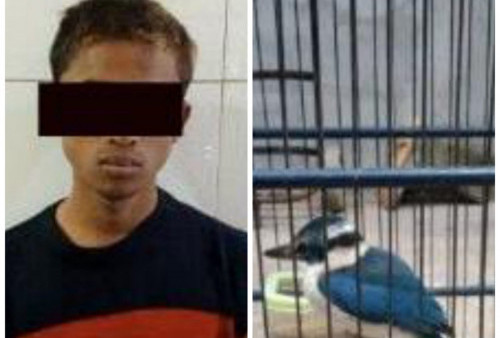 Tak Punya Uang Untuk Beli Miras, Pria Putus Cinta di Surabaya Curi Burung