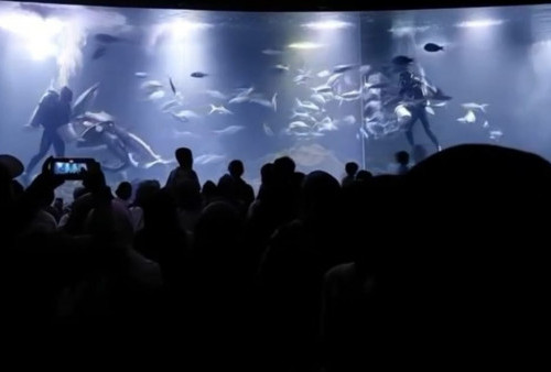 Ramai, Aquarium KKP Diserbu Pengunjung saat Libur Lebaran