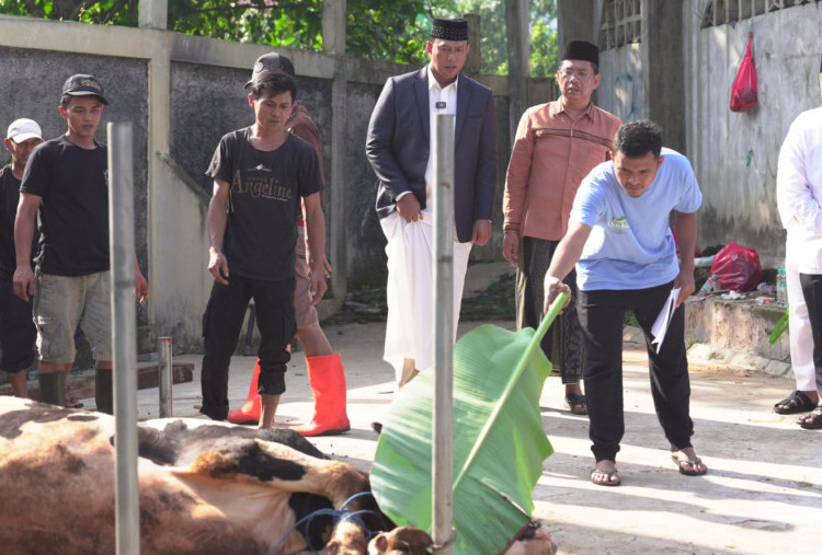 Dirut Bulog: Idul Adha Jadi Momentum Saling Berbagi di Tengah Tekanan Ekonomi Global