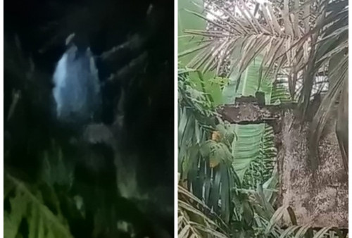 Saat Tunggu Durian Ada Penampakan Mahluk Halus di Gedung Eks SD, Videonya Viral