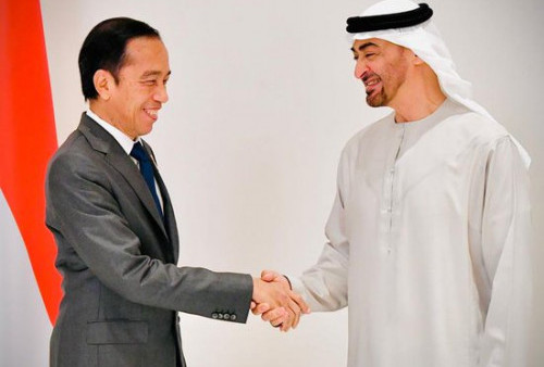 Empat Poin Kerjasama Presiden Jokowi dengan Pengusaha Uni Emirates Arab