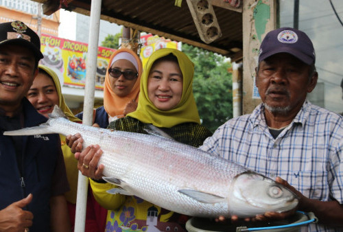 Jelang Imlek 2023: Sudin KPKP Jakbar Uji Kelayakan Konsumsi Penjualan Ikan Bandeng di Rawa Belong