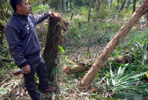 Rawan Bencana, Aktivis Lingkungan Kecam Alih Fungsi Lahan di Kaki Gunung Cakrabuana