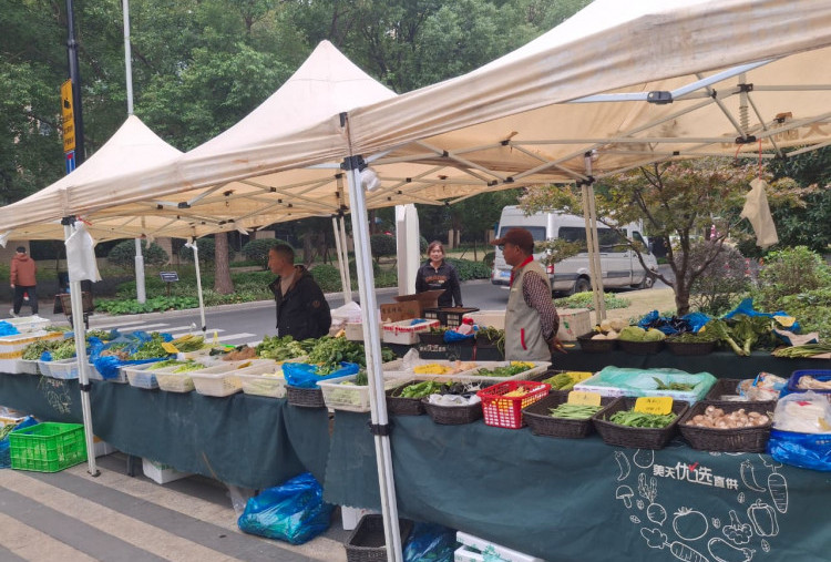 Harian Disway di China International Press Communication Center (CIPCC) (95): Urban Farming Kota Internasional