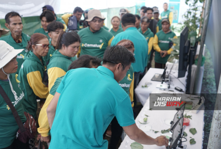 Camalus mengombinasikan dua bahan aktif, Tetraniliprole dan Spirotetramat, dengan mekanisme kerja ganda yang mampu melindungi tanaman dari berbagai hama utama hortikultura. Berdasarkan hasil uji lapangan, penggunaannya berpotensi meningkatkan hasil panen sekaligus menekan biaya produksi.