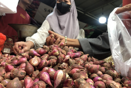 Bawang Merah dan Cabai Turun Harga di Pasaran, Harga Telur Malah Tidak Stabil