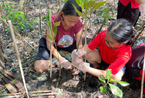 OMK Hati Kudus Yesus dan Kevikepan Surabaya Selatan Rayakan Hari Bumi dengan Aksi Nyata: Tanam 1000 Bibit Mangrove