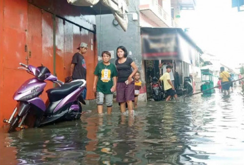 Banjir Rob Setinggi Betis Dewasa Masih Merendam Sejumlah Wilayah Cirebon, BMKG Keluarkan Peringatan Ini!