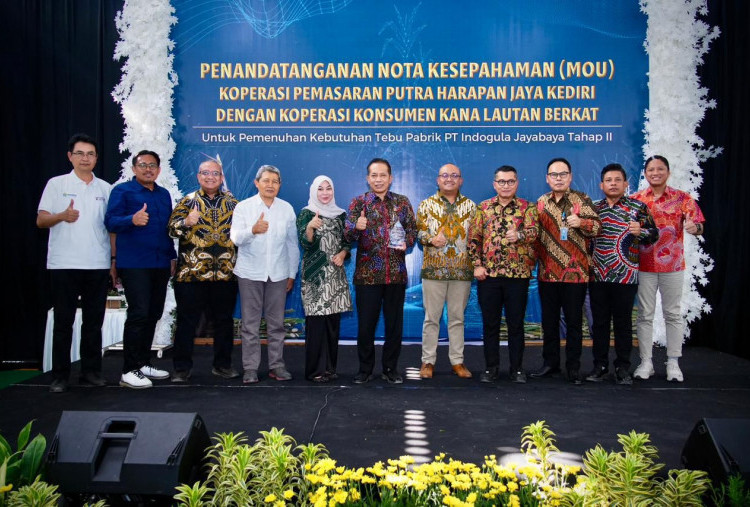 LPDB Kawal Hilirisasi Tebu, Koperasi Ambil Peran Strategis di Industri Gula Nasional