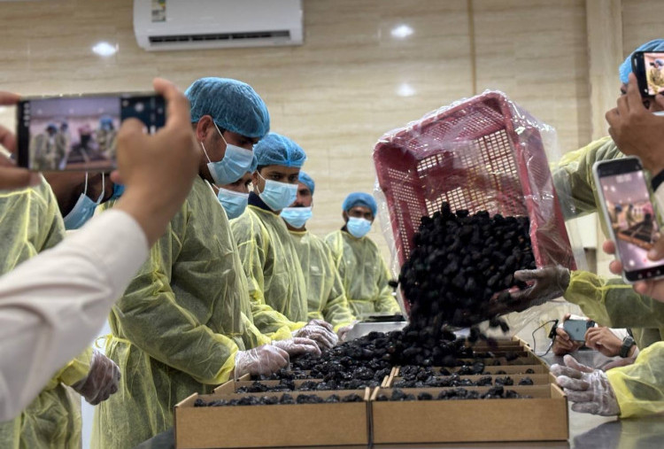 Castle Farms Madinah, Pemasok Kurma Ajwa Terbesar ke Berbagai Negara