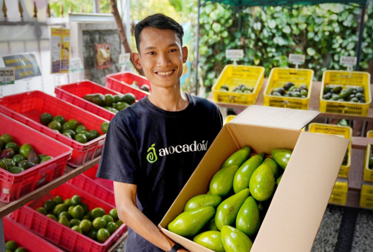 Avocadoid, Wujud Kesadaran Pentingnya Pelindungan Kekayaan Intelektual 