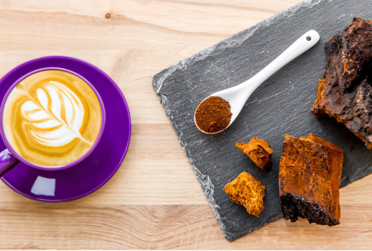 Mengenal Chagaccino, Minuman Kopi Unik Dengan Campuran Jamur Chaga yang Kaya Manfaat