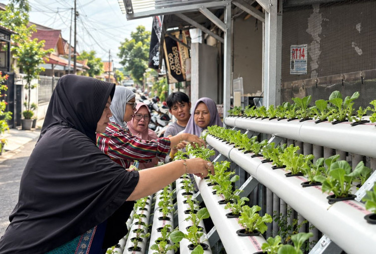 PNM Sulap Lorong Kota Menjadi Sumber Pangan Lewat Program Agro Urban Madani