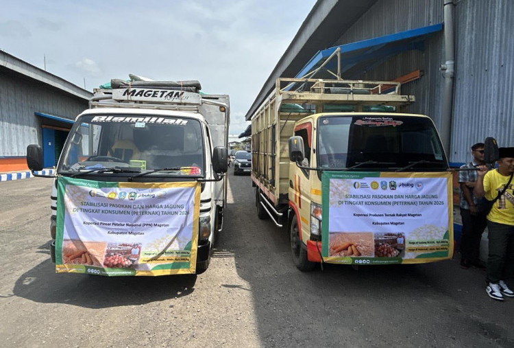 Bulog Jatim Genjot Distribusi SPHP Jagung Pakan, Stok Aman Jelang Nataru
