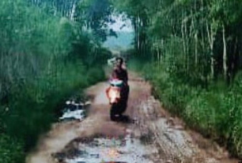 Beberapa Wilayah di Pagaralam Butuh Akses Jalan Usaha Tani