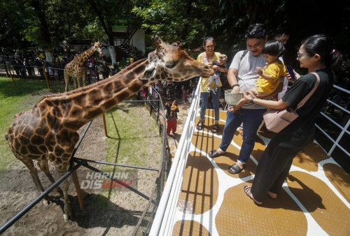 Libur Lebaran di Kebun Binatang Surabaya