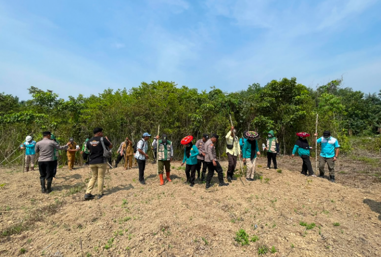 Bukan Dibakar, Lahan Warga Dimanfaatkan untuk Tanam Jagung Cegah Karhutla