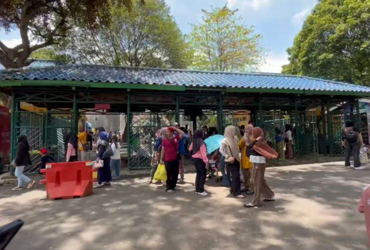 H+3 Lebaran 2026, Ragunan Diserbu Pengunjung Lebih dari 72 Ribu Wisatawan