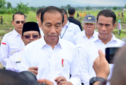 Jokowi Teken Perpres Percepatan Proyek IKN, Fokus Tata Ekosistem dan Ganti Rugi