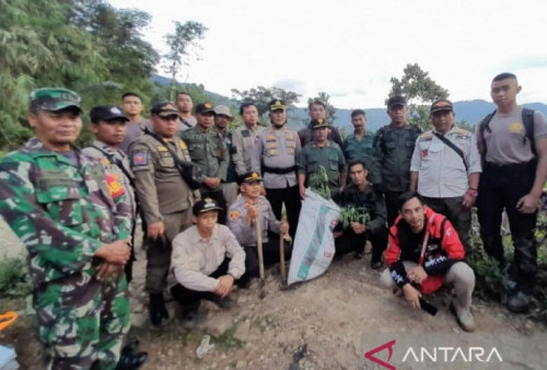Polisi Tetapkan 6 Tersangka Pemilik Ladang Ganjadi di Gunung Karuhun Cianjur