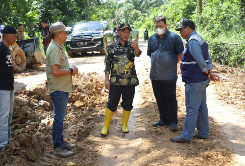 Banyak Jalan Rusak Parah di Muba, Pj Bupati Ngecek Langsung   Apriyadi: Untung Camat Ada di Tempat!